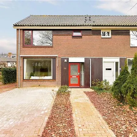 Zandspoor *