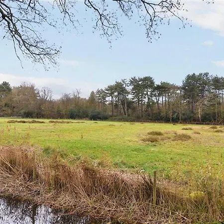 Vakantiehuis Zandspoor *
