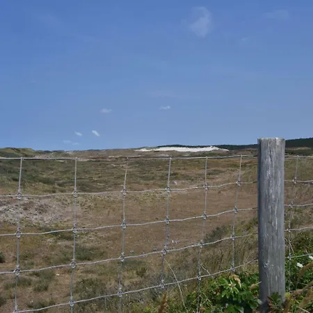 Zandspoor * Schoorl