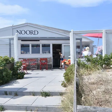 Zandspoor * Schoorl